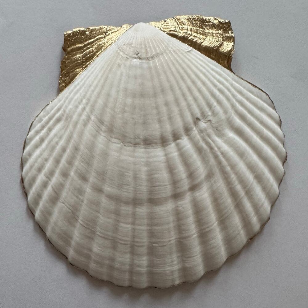 Nautical Anchor Seashell Trinket Jewelry Dish - Picture 5 of 5